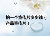 拍一个宣传片多少钱（产品宣传片）