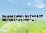 属兔的本命年好不好（兔年本命年小孩带哪些好呢兔年本命年小孩带什么）