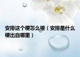 安排这个梗怎么接（安排是什么梗出自哪里）
