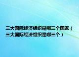 三大国际经济组织是哪三个国家（三大国际经济组织是哪三个）