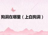 狗洞在哪里（上白狗洞）