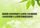 烟笼寒水的意思是什么意思介绍(烟笼寒水的意思是什么意思详细情况如何)