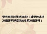 粥有点温能放冰箱吗?（咸粥放冰箱冷藏好不好咸粥放冰箱冷藏好吗）