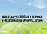 喝完的茶叶可以浇花吗（喝剩的茶叶能浇花吗喝剩的茶叶可以浇花吗）