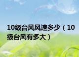 10级台风风速多少（10级台风有多大）
