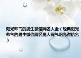 阳光帅气的男生微信网名大全（经典阳光帅气的男生微信网名男人霸气阳光微信名）