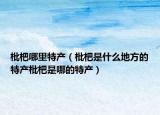 枇杷哪里特产（枇杷是什么地方的特产枇杷是哪的特产）