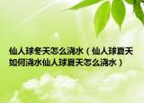 仙人球冬天怎么浇水（仙人球夏天如何浇水仙人球夏天怎么浇水）