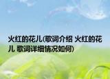 火红的花儿(歌词介绍 火红的花儿 歌词详细情况如何)