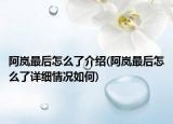 阿岚最后怎么了介绍(阿岚最后怎么了详细情况如何)