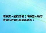 成熟男人的微信名（成熟男人励志微信名微信名男成熟励志）