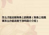 怎么才能去除狗身上的跳蚤（狗身上有跳蚤怎么办能去除干净吗简介介绍）