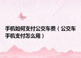 手机如何支付公交车费（公交车手机支付怎么用）
