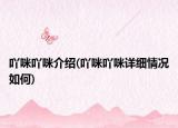 吖咪吖咪介绍(吖咪吖咪详细情况如何)