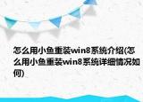 怎么用小鱼重装win8系统介绍(怎么用小鱼重装win8系统详细情况如何)