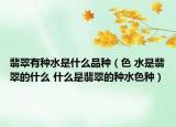 翡翠有种水是什么品种（色 水是翡翠的什么 什么是翡翠的种水色种）