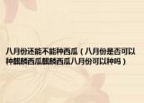 八月份还能不能种西瓜（八月份是否可以种麒麟西瓜麒麟西瓜八月份可以种吗）