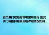 剑灵洪门戒指狗粮哪里刷介绍 剑灵洪门戒指狗粮哪里刷详细情况如何