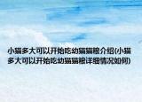 小猫多大可以开始吃幼猫猫粮介绍(小猫多大可以开始吃幼猫猫粮详细情况如何)