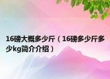 16磅大概多少斤（16磅多少斤多少kg简介介绍）