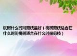 桃树什么时间剪枝最好（桃树剪枝适合在什么时间桃树适合在什么时候剪枝）