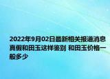 2022年9月02日最新相关报道消息 真假和田玉这样鉴别 和田玉价格一般多少