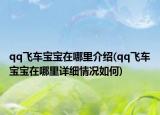 qq飞车宝宝在哪里介绍(qq飞车宝宝在哪里详细情况如何)