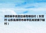 潍坊寒亭高里街道有哪些村（东营村 山东省潍坊市寒亭区高里镇下辖村）