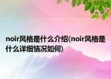 noir风格是什么介绍(noir风格是什么详细情况如何)