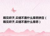 既见君子,云胡不喜什么意思拼音（既见君子,云胡不喜什么意思）