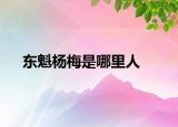 东魁杨梅是哪里人