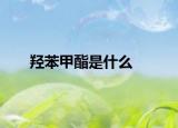 羟苯甲酯是什么