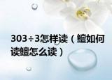 303÷3怎样读（鳣如何读鳣怎么读）