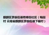 麒麟区寥廓街道有哪些社区（梅园村 云南省麒麟区寥廓街道下辖村）