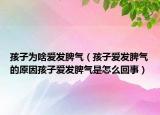 孩子为啥爱发脾气（孩子爱发脾气的原因孩子爱发脾气是怎么回事）