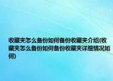 收藏夹怎么备份如何备份收藏夹介绍(收藏夹怎么备份如何备份收藏夹详细情况如何)