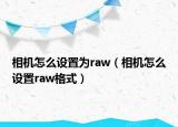 相机怎么设置为raw（相机怎么设置raw格式）