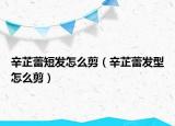 辛芷蕾短发怎么剪（辛芷蕾发型怎么剪）