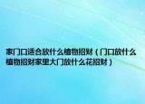 家门口适合放什么植物招财（门口放什么植物招财家里大门放什么花招财）