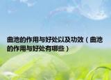 曲池的作用与好处以及功效（曲池的作用与好处有哪些）