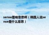 sense是啥意思啊（韩国人说sense是什么意思）