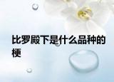 比罗殿下是什么品种的梗