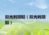 拟光刺胡鲶（拟光刺胡鲶）