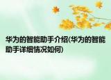 华为的智能助手介绍(华为的智能助手详细情况如何)