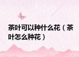 茶叶可以种什么花（茶叶怎么种花）