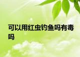 可以用红虫钓鱼吗有毒吗