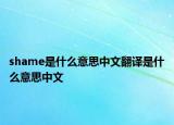 shame是什么意思中文翻译是什么意思中文