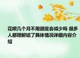 花呗几个月不用额度会减少吗 很多人都理解错了具体情况详细内容介绍