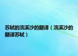 苏轼的浣溪沙的翻译（浣溪沙的翻译苏轼）