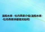 洛阳水席--牡丹燕菜介绍(洛阳水席--牡丹燕菜详细情况如何)